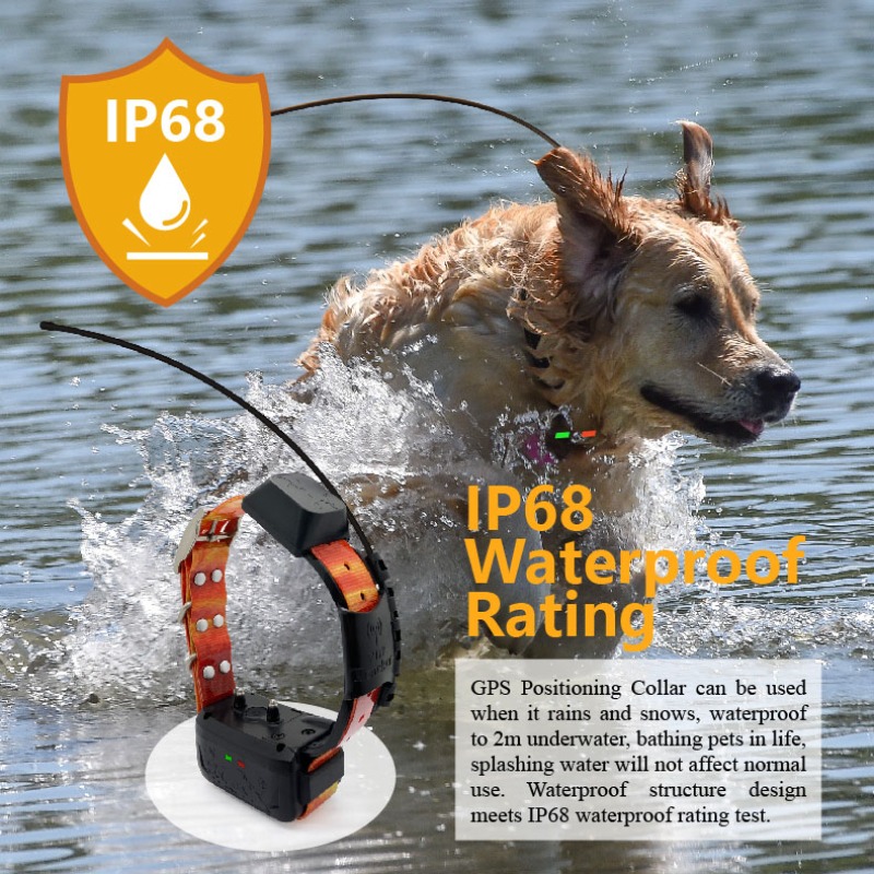 Pet Supplies Login - Enterprise Dog GPS-Zaunmanager: Kundenspezifische Grenzkoordinaten +