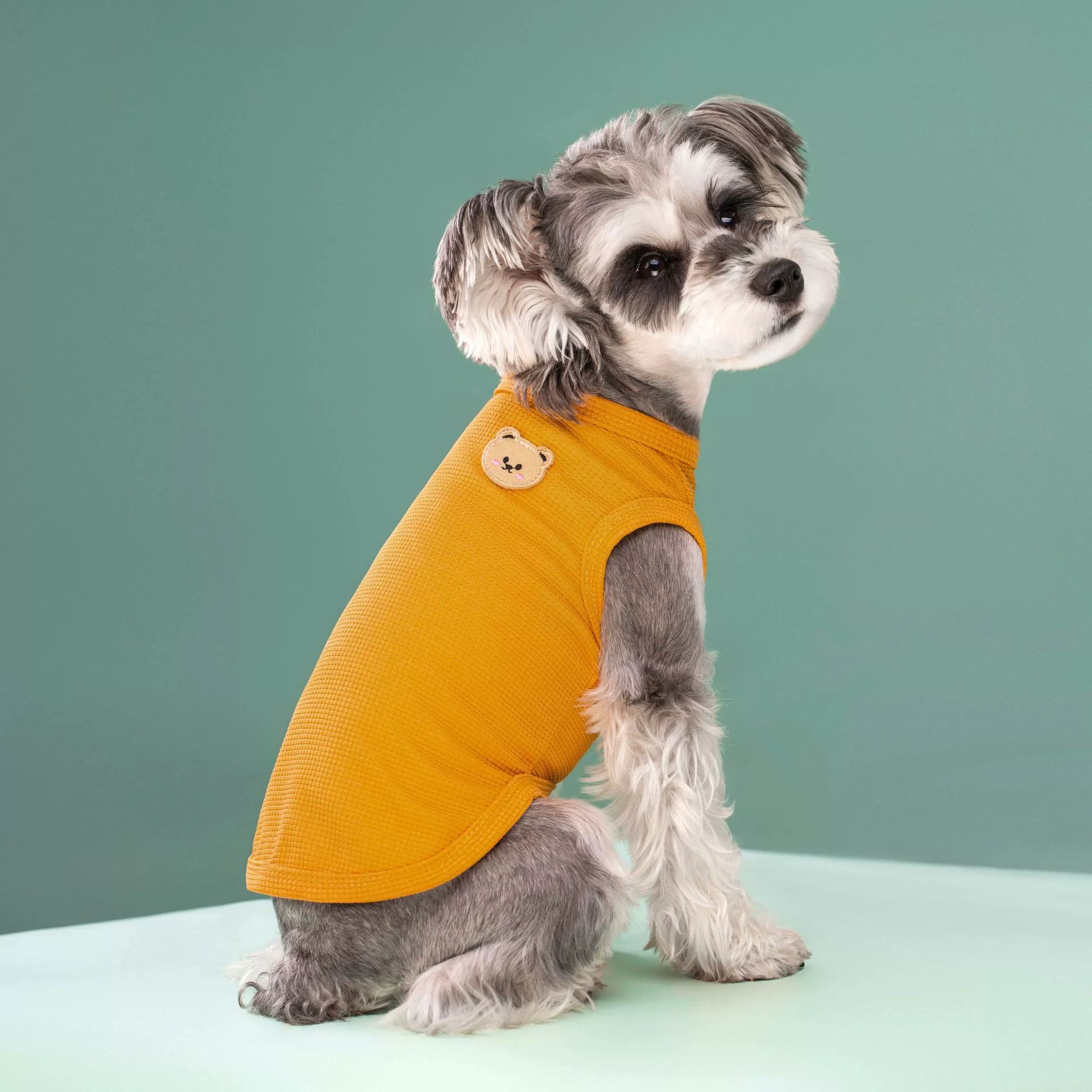 Frühling Sommer Haustier Waffe – Dog Anxiety Vest Bewertung und Preis