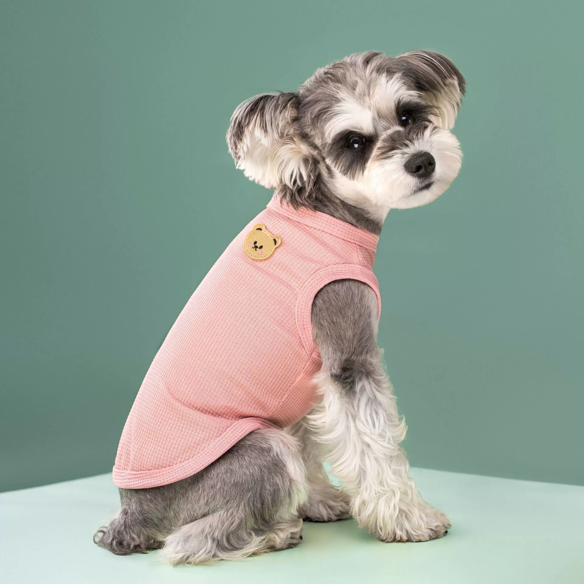 Frühling Sommer Haustier Waffe – Dog Anxiety Vest Bewertung und Preis