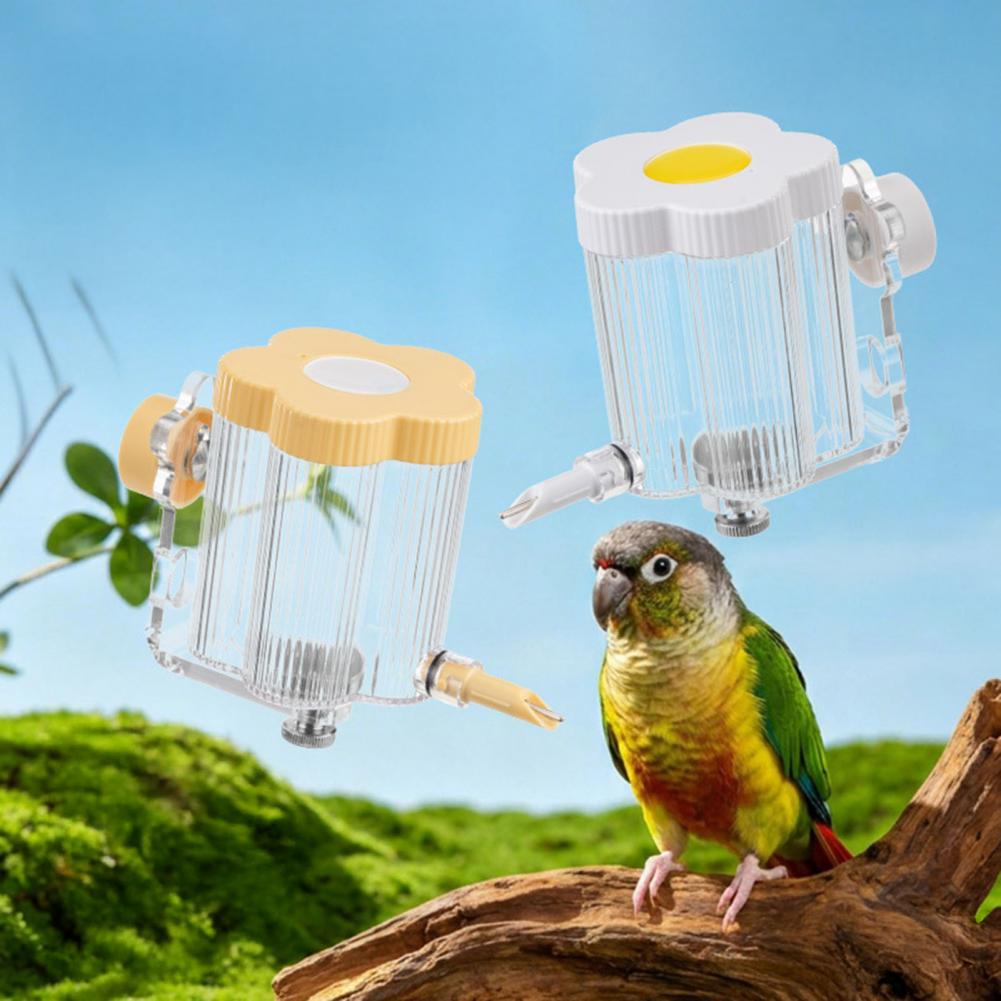 Nymphensittich-Wasserspender A – Bird Cage Parrot Bewertung und Preis