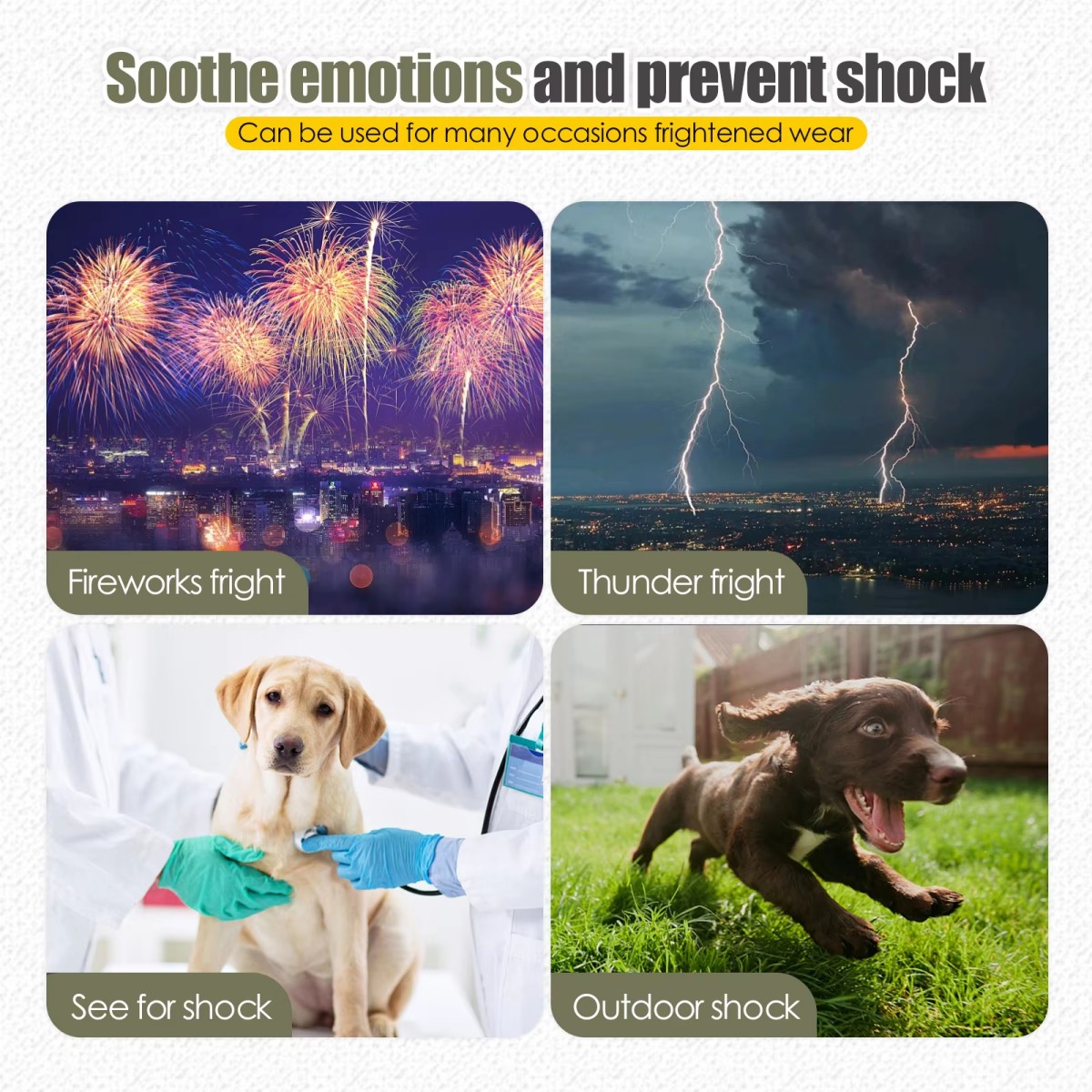 Angstweste und Mantel für Hund – Dog Anxiety Vest Bewertung und Preis