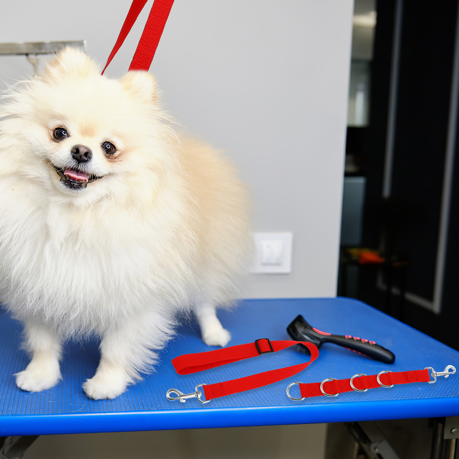 1 Set Tierpflege-Gurte, Hundeb – Pet Supplies Nail Trim Bewertung und Preis