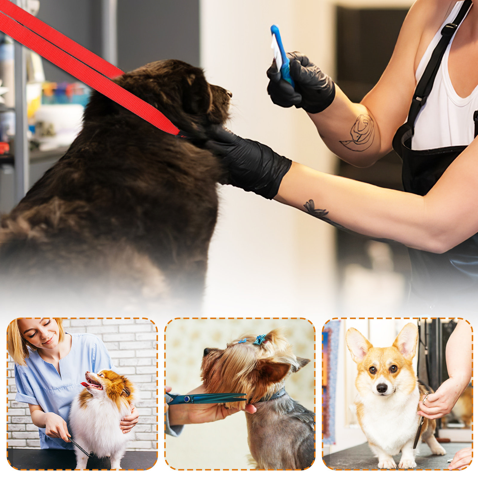 1 Set Tierpflege-Gurte, Hundeb – Pet Supplies Nail Trim Bewertung und Preis