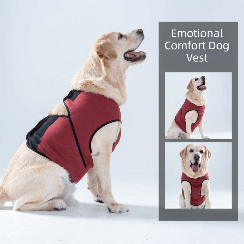 Praktische, atmungsaktive Beru – Dog Anxiety Vest Bewertung und Preis