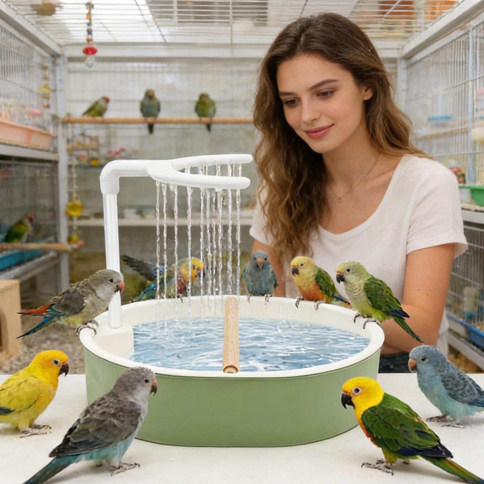 USB-betriebene automatische Vo – Bird Cage Parrot Bewertung und Preis