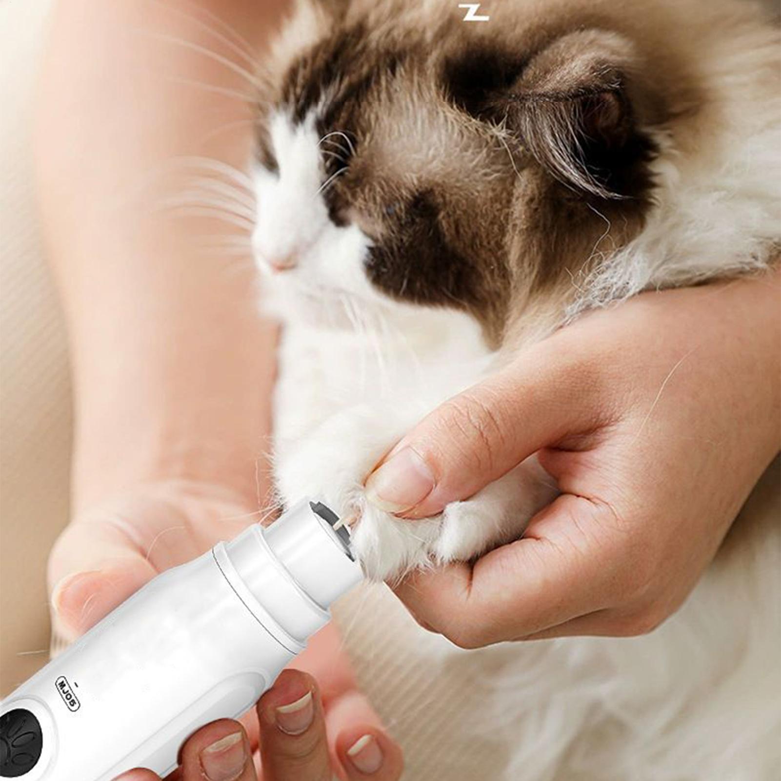 Haustier-Nagelschleifer, elekt – Pet Supplies Nail Trim Bewertung und Preis