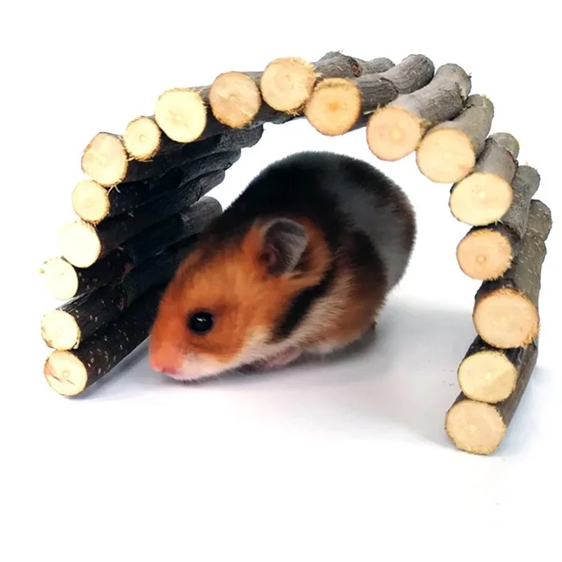 Kleines Haustier Molaren Weide – Pet Supplies Login Bewertung und Preis
