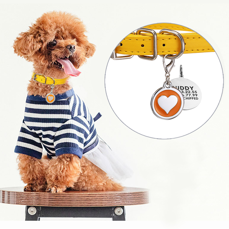 Haustier Katze Hund Leder Krag – Pet Supplies Login Bewertung und Preis