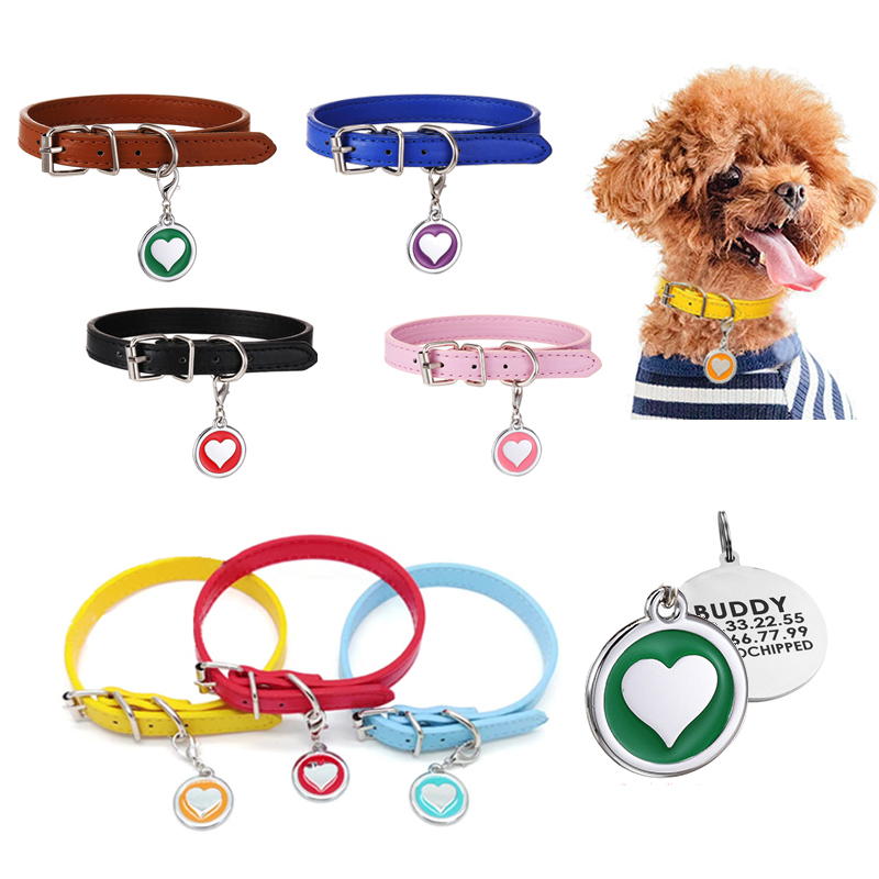 Haustier Katze Hund Leder Krag – Pet Supplies Login Bewertung und Preis