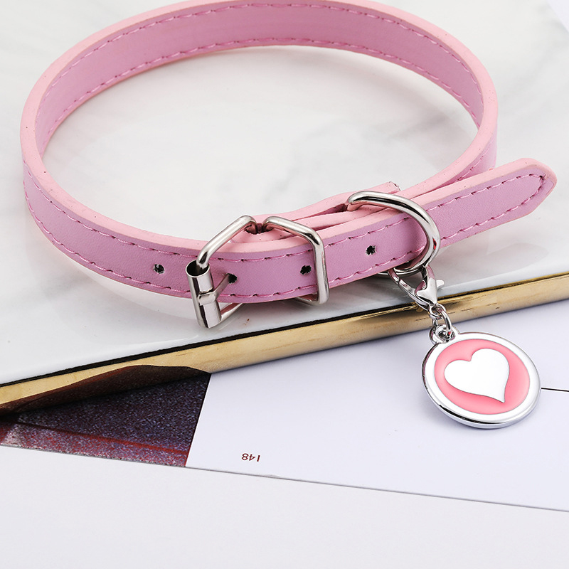 Haustier Katze Hund Leder Krag – Pet Supplies Login Bewertung und Preis