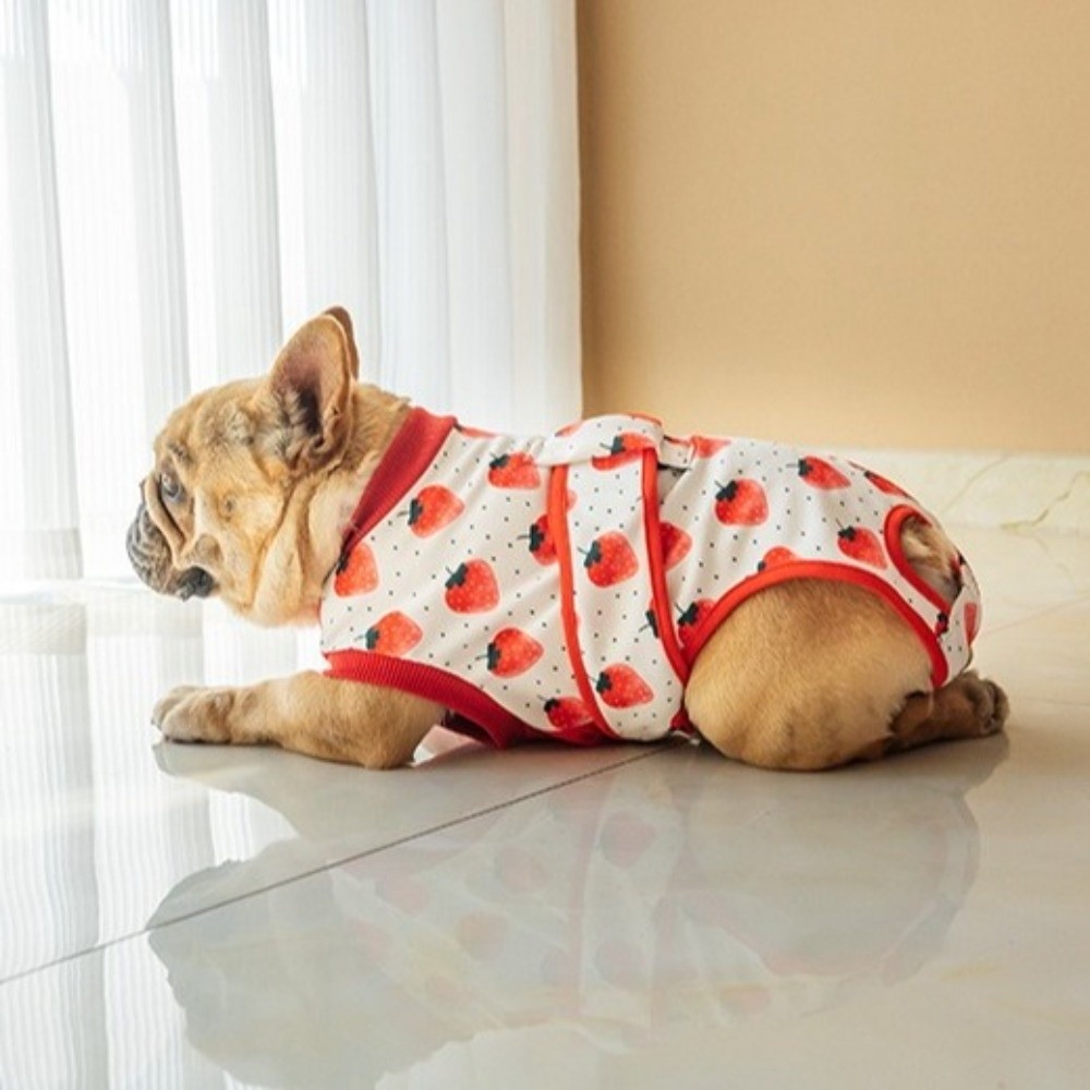 Universeller Atmungsaktiver Hu – Dog Anxiety Vest Bewertung und Preis