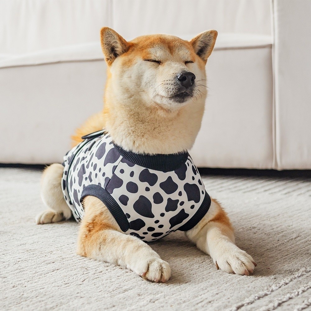 Universeller Atmungsaktiver Hu – Dog Anxiety Vest Bewertung und Preis