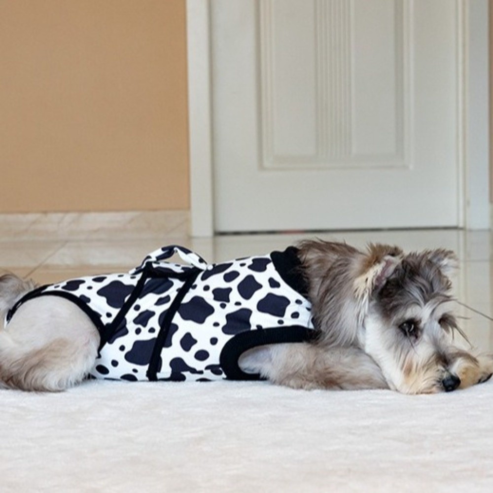 Universeller Atmungsaktiver Hu – Dog Anxiety Vest Bewertung und Preis