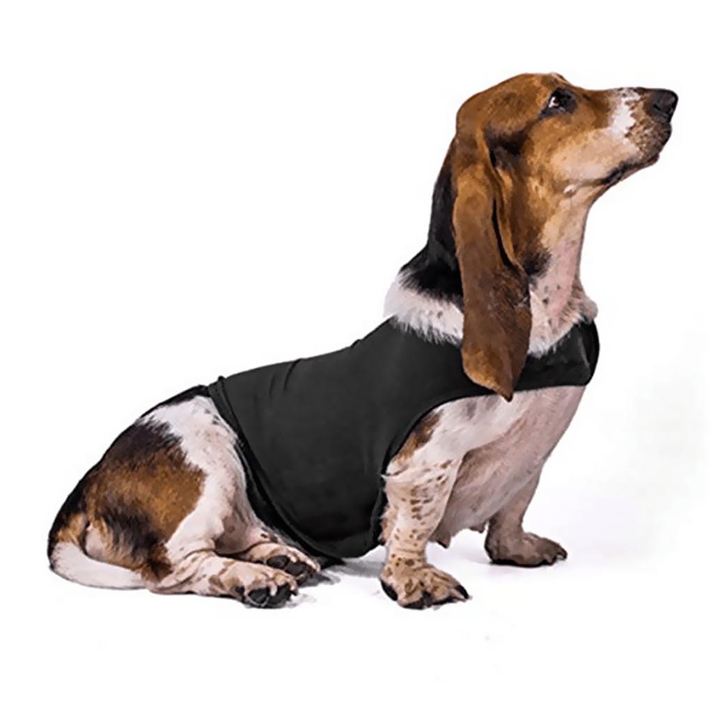 Haustierjacke, Anti-Angst-Hemd – Dog Anxiety Vest Bewertung und Preis