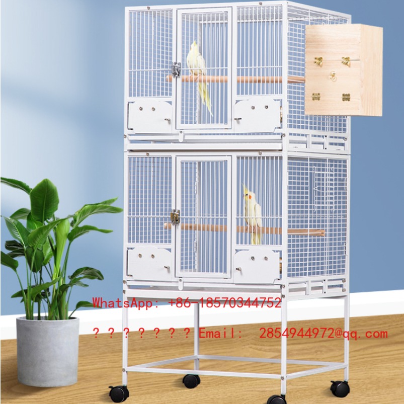 2026 Tauben-Großvogelkäfig Fut – Bird Cage Parrot Bewertung und Preis