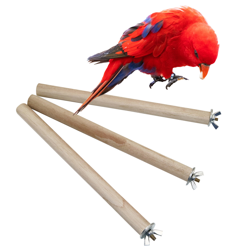 1 Pc Papagei Taube Haustier Vo – Pet Supplies Login Bewertung und Preis