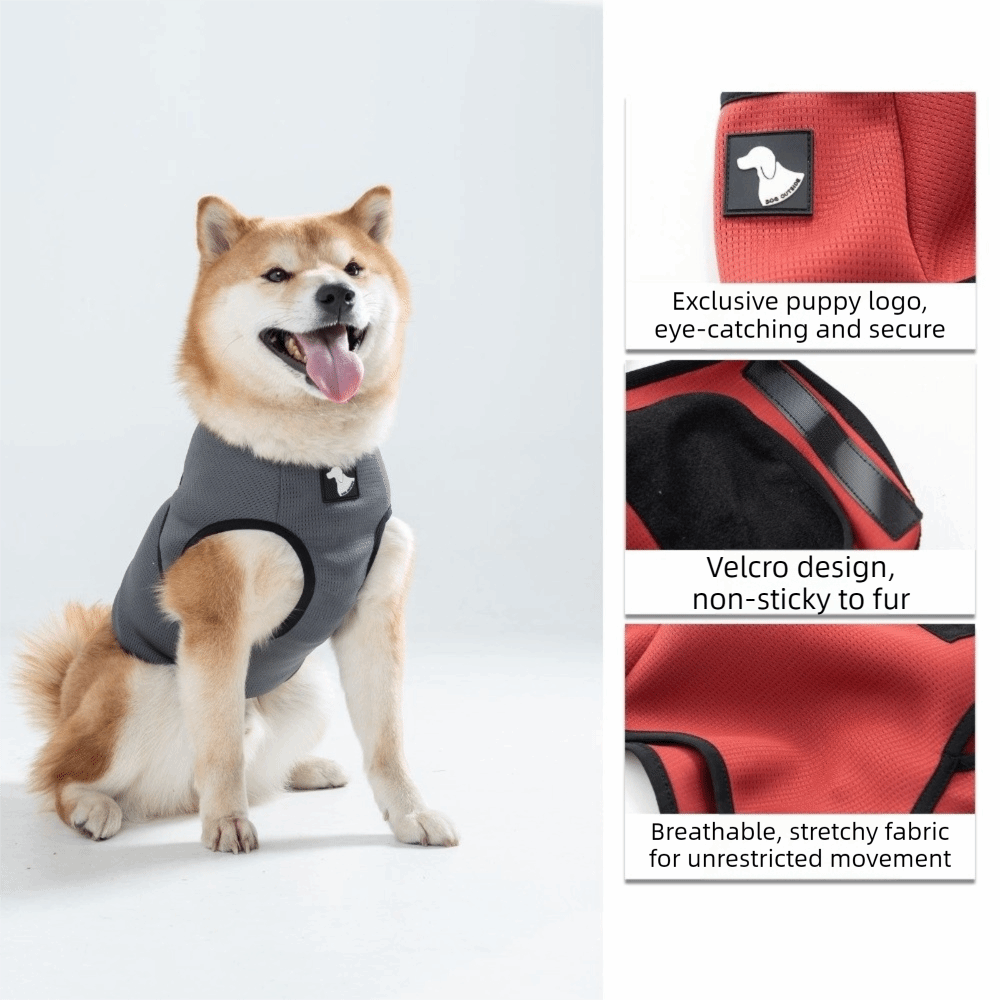 Atmungsaktive Beruhigungs-West – Dog Anxiety Vest Bewertung und Preis