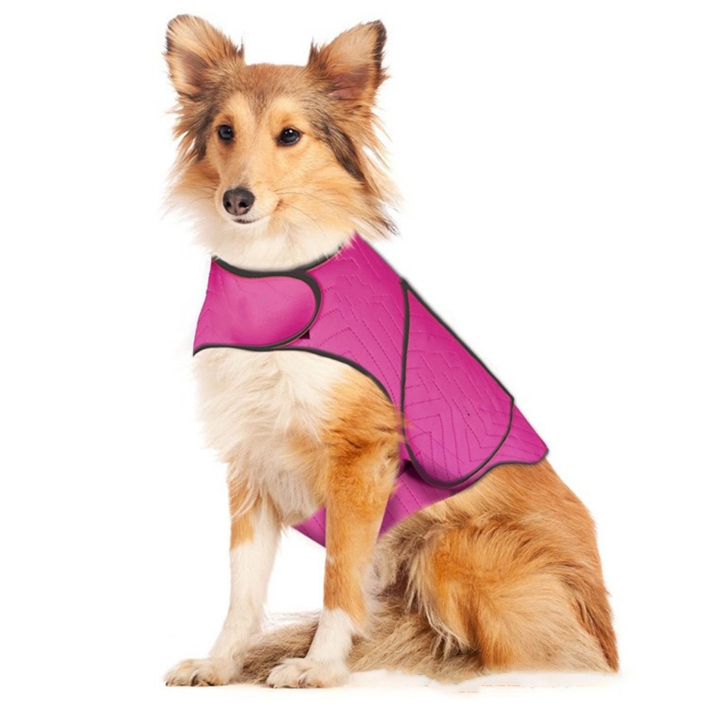 Praktische Elastische Hunde-An – Dog Anxiety Vest Bewertung und Preis