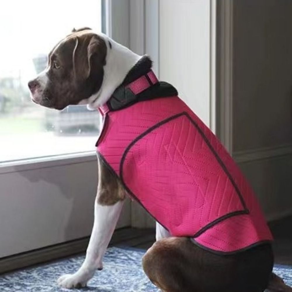 Praktische Elastische Hunde-An – Dog Anxiety Vest Bewertung und Preis