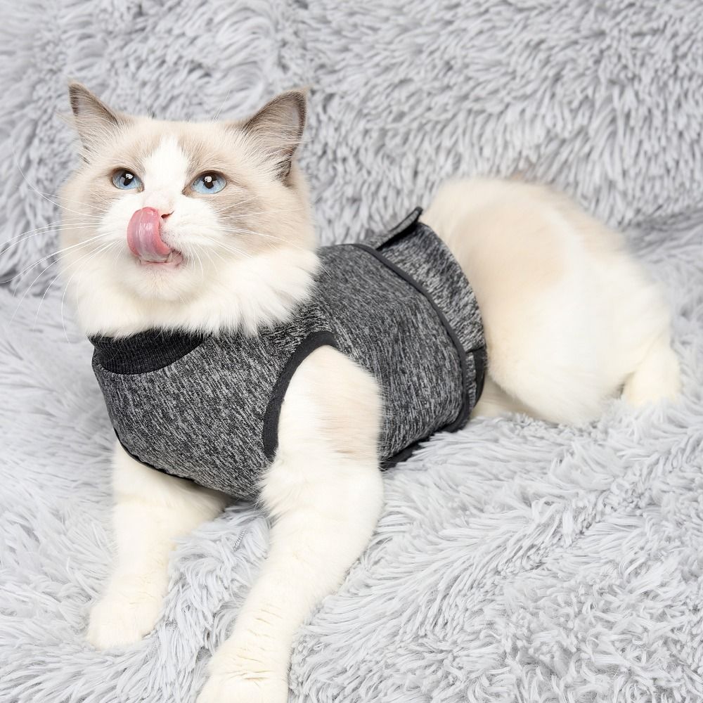 Verstellbare beruhigende Weste – Dog Anxiety Vest Bewertung und Preis