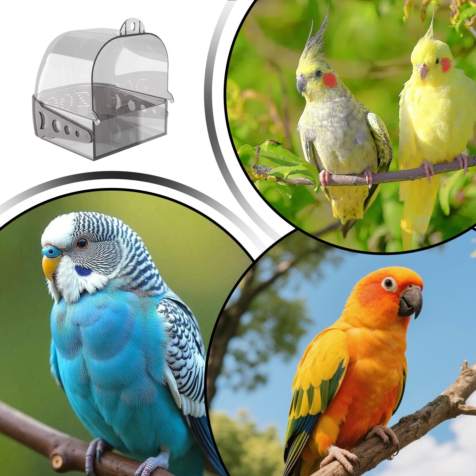 Vogelbad für Käfig, abnehmbar, – Bird Cage Parrot Bewertung und Preis